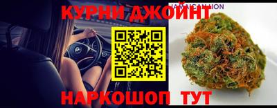 прущие грибы Ливны