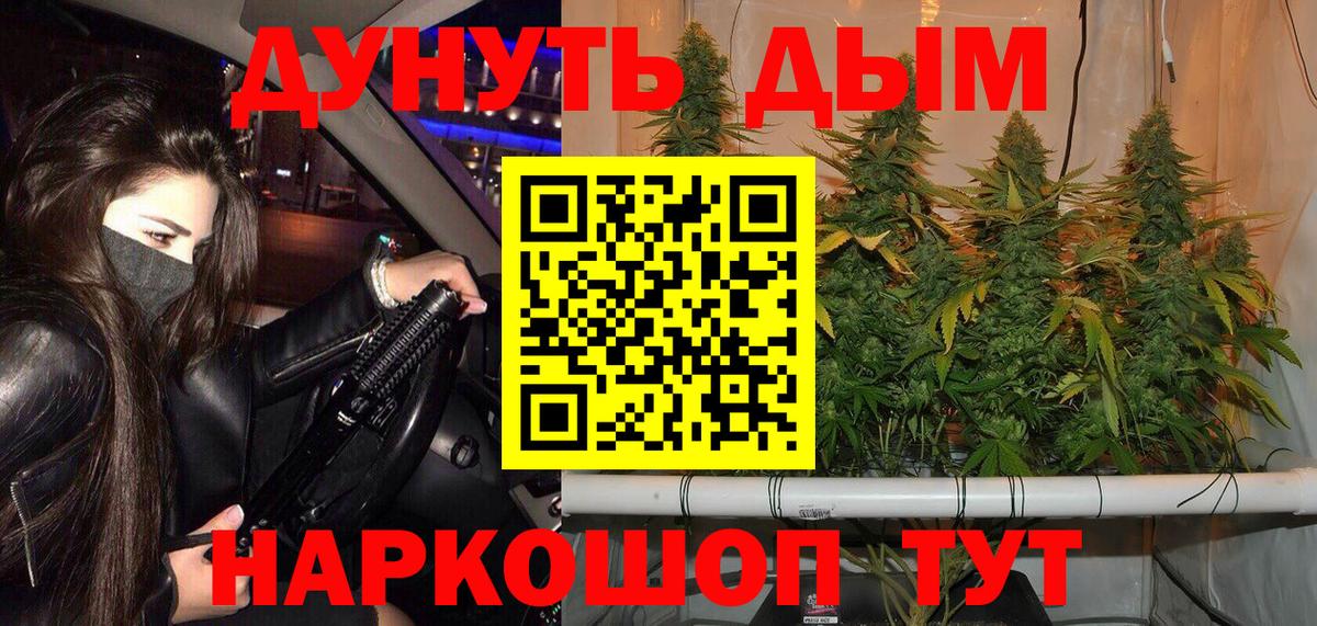 Конопля гибрид Борисоглебск
